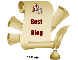 a best blog award 